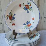 Salins poppy 5 hollow plates