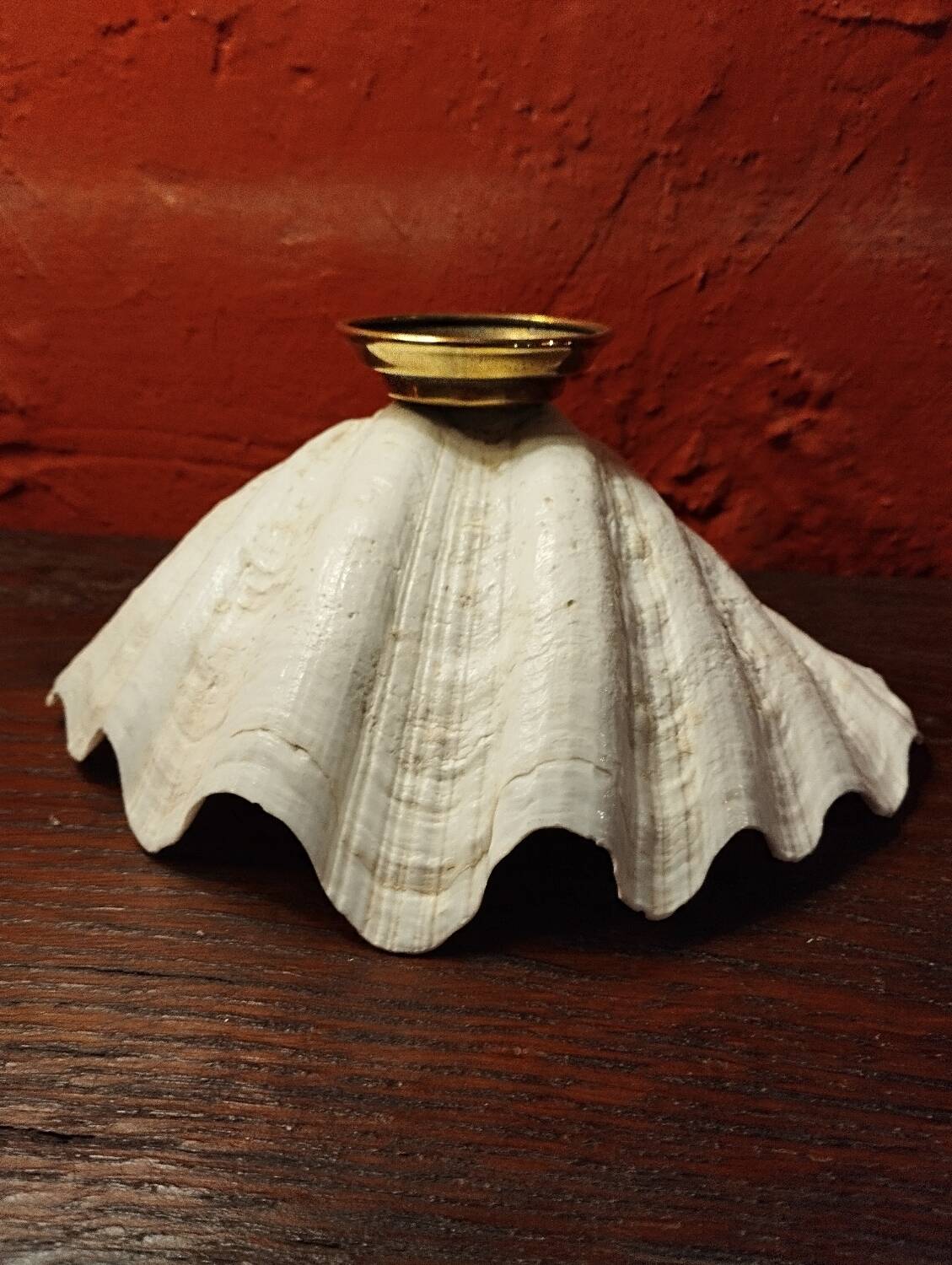 Shell on base, holy water font