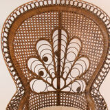 Emmanuelle Peacock Chair