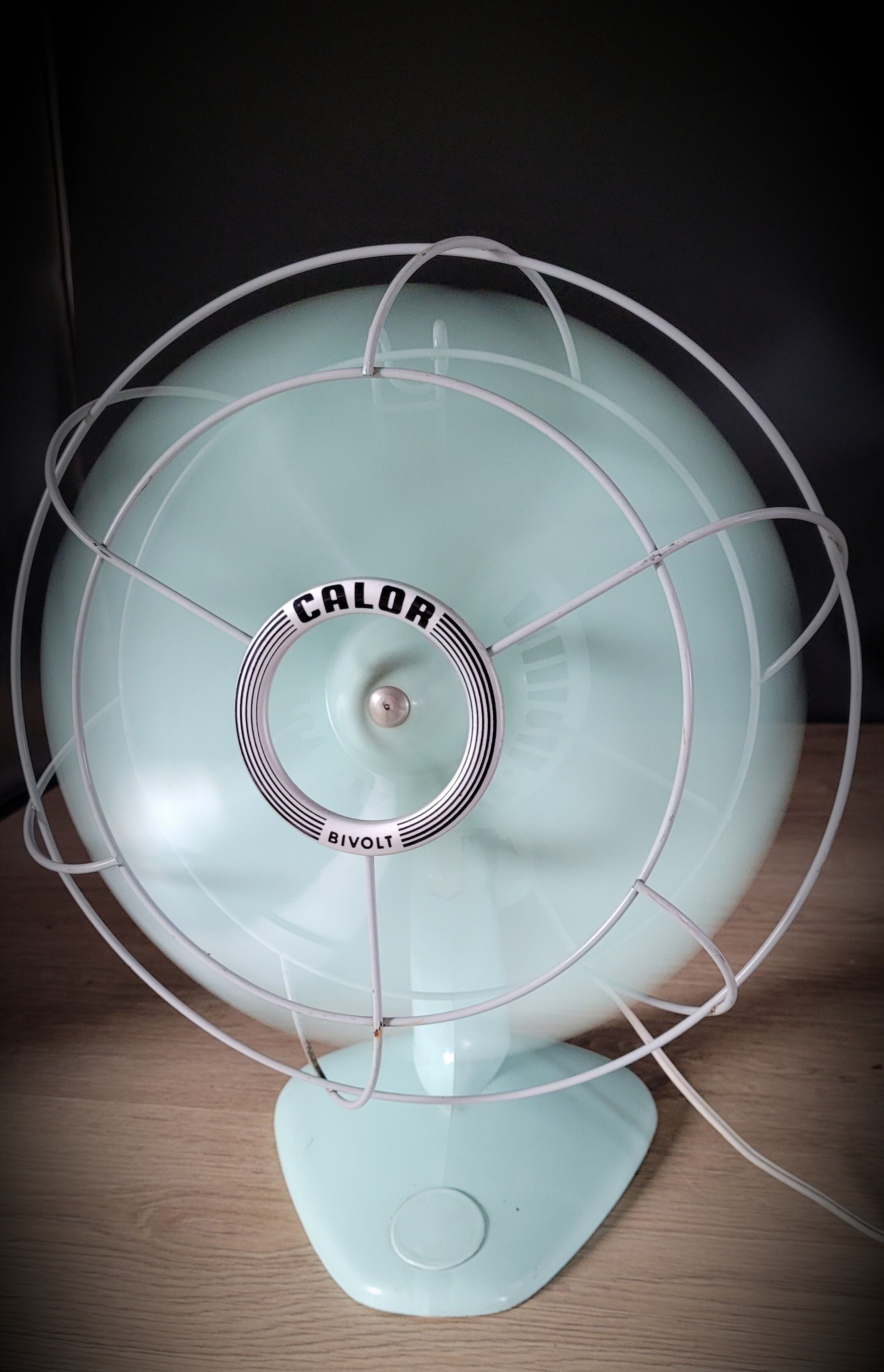 Calor 60s fan