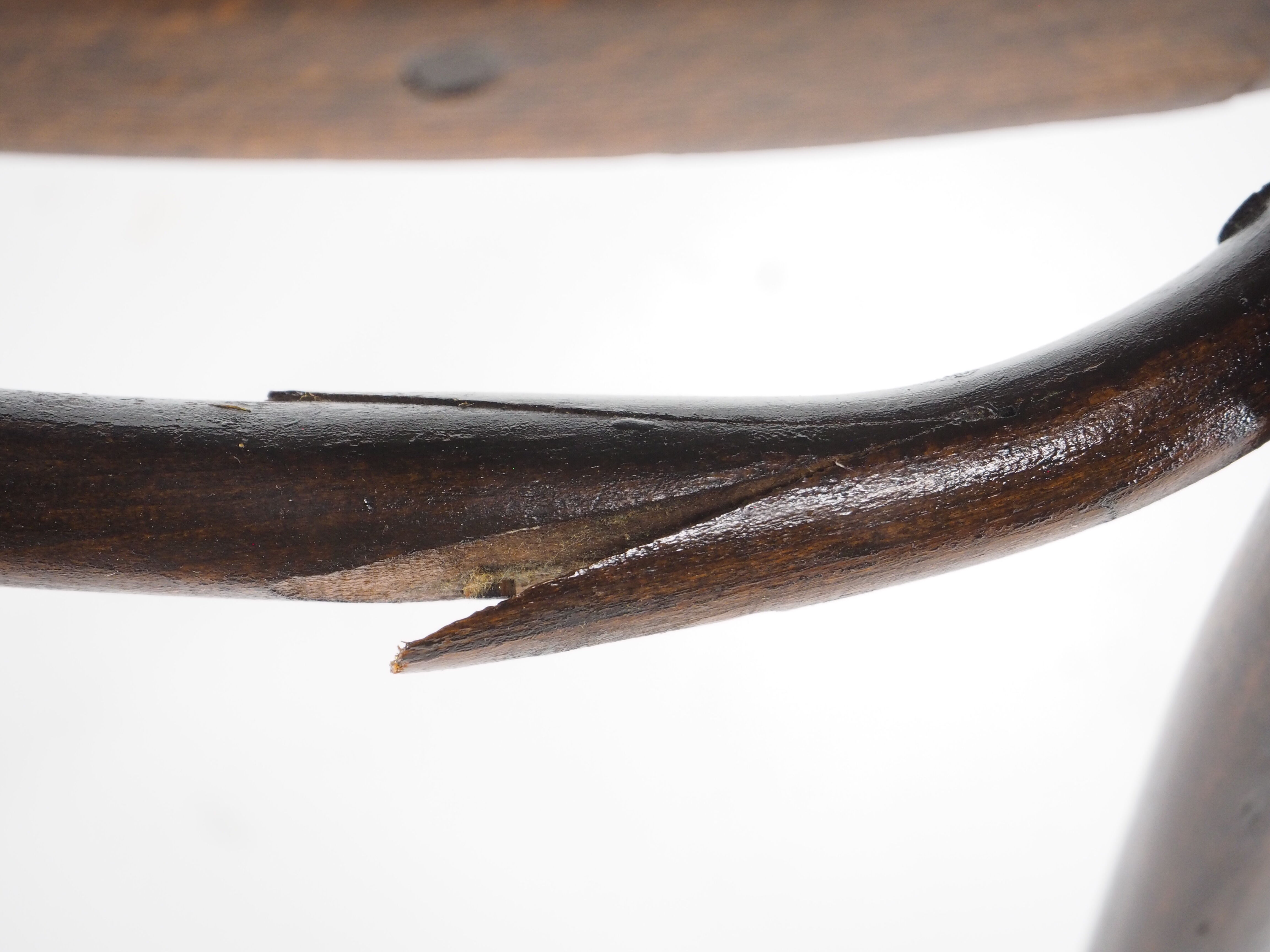 Dining chair manufacturaed by D.G. Fischel, Austria , 1900s