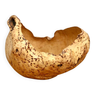 An elm burl, Sweden 1970s.