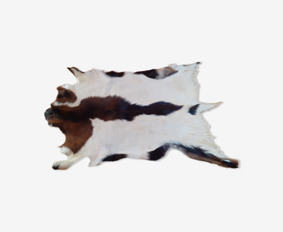 Peau de chèvre neuve