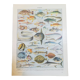 Lithographie sur les poissons de 1928