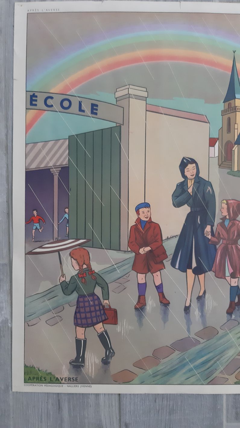 Affiche scolaire pédagogique Rossignol