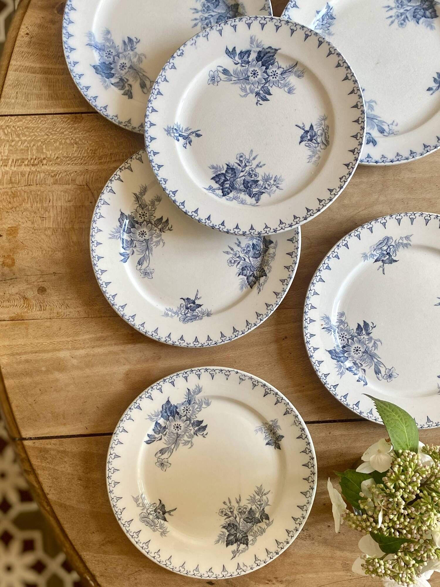 Set of 6 old dessert plates - Flore de Sarreguemines