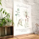 Botanical herbal tea