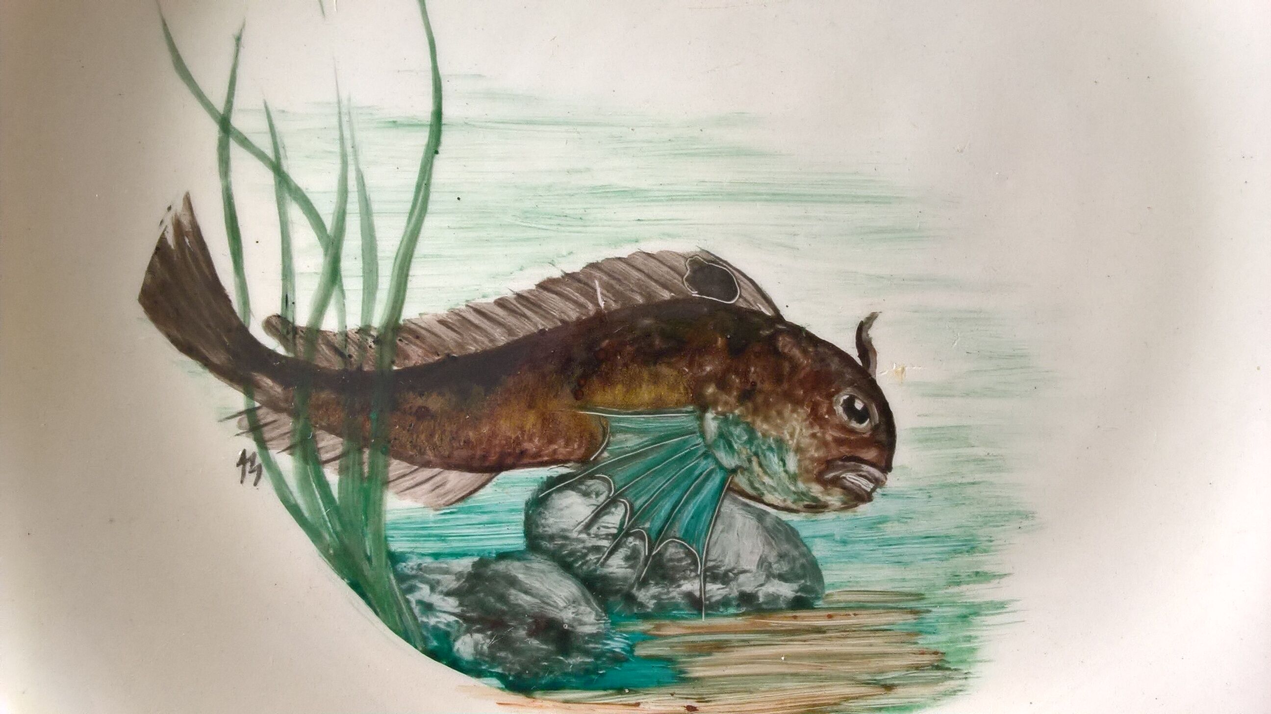 12 fish plates Proceram Cerel Aubagne, 1950s