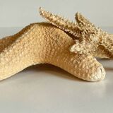 Vintage starfish