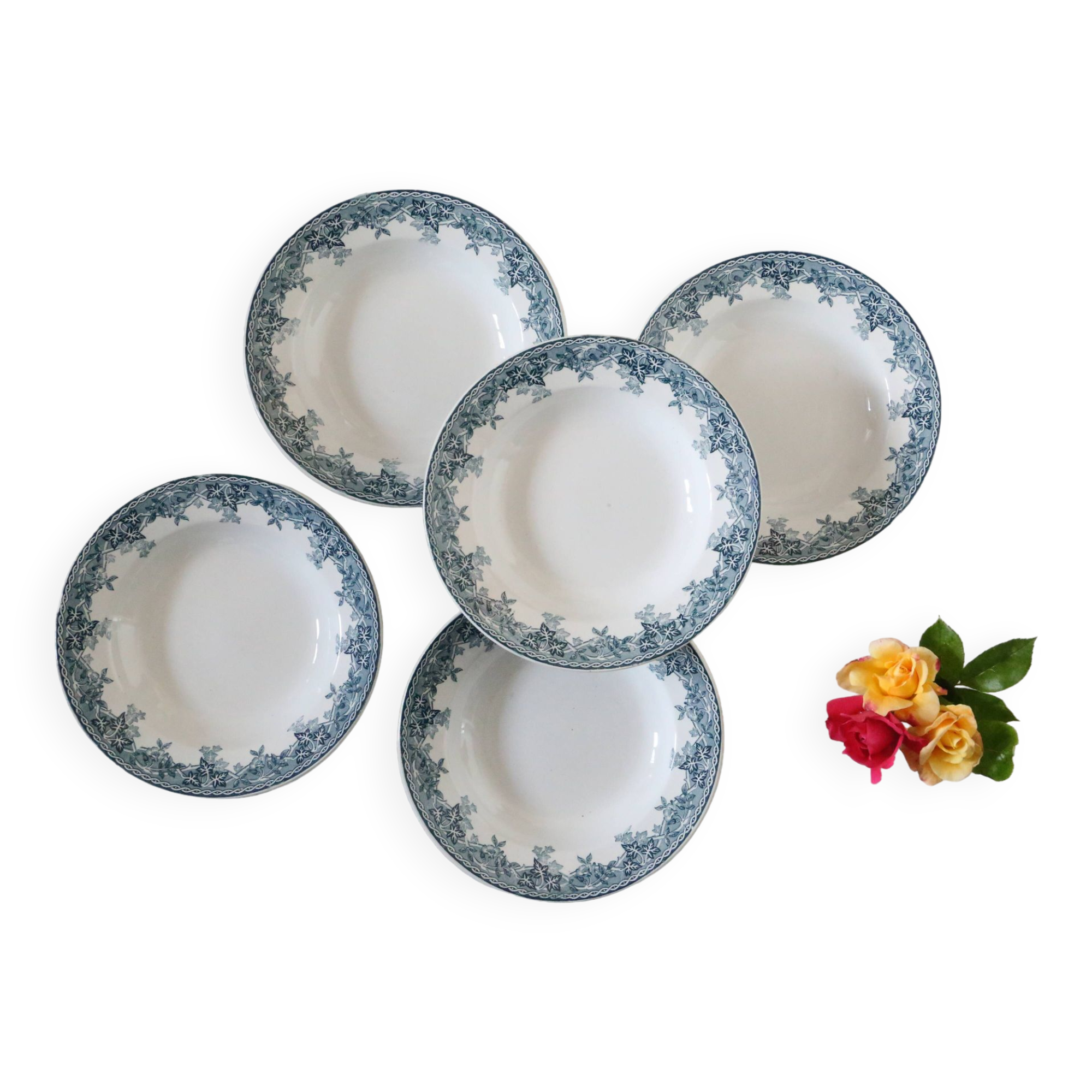 Deep plates x5, iron earth, Estival model from Saint Amand