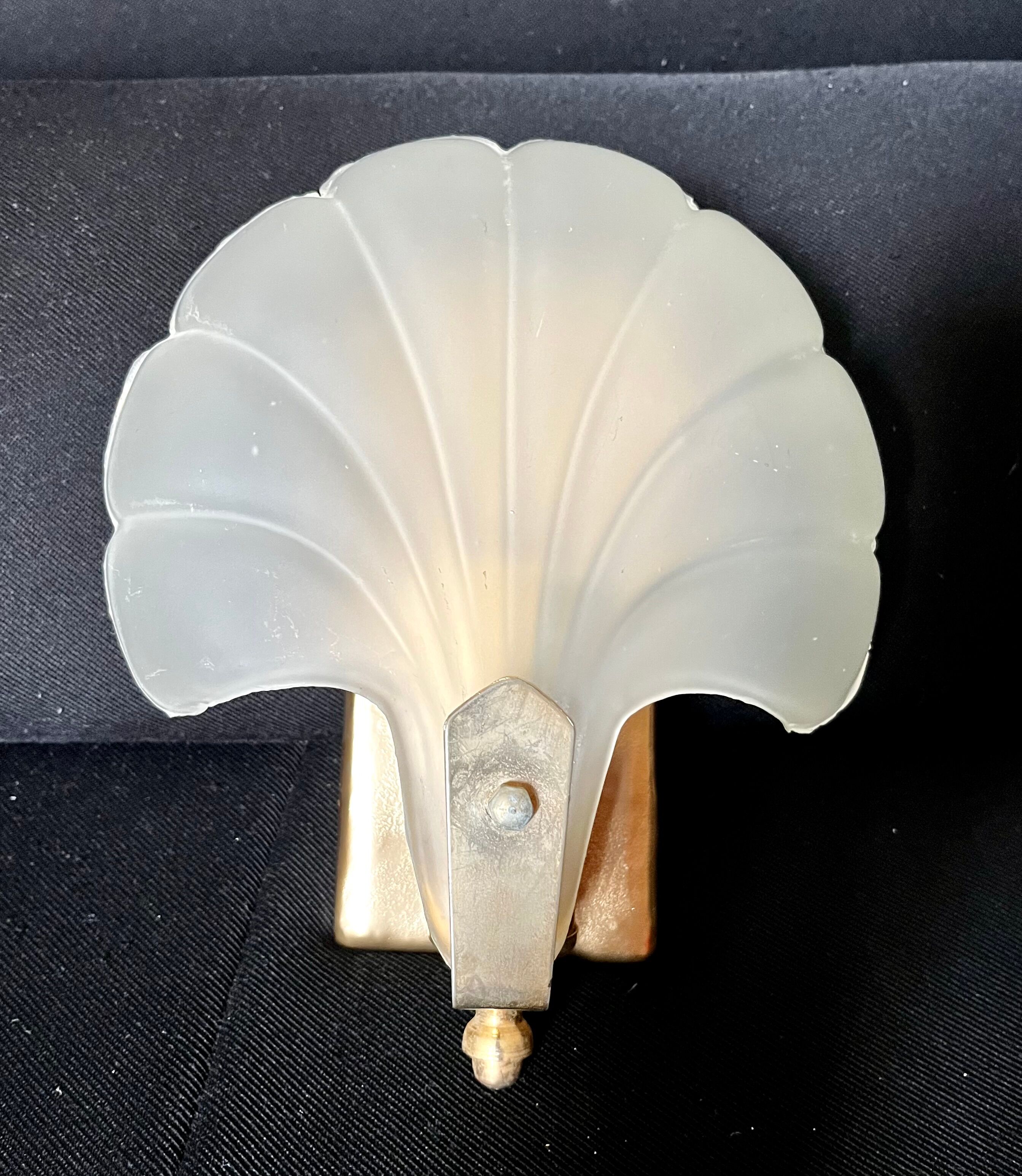 Shell wall lamp