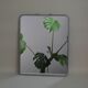 Miroir de barbier vintage