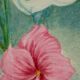 "Lilies" by May Larsson