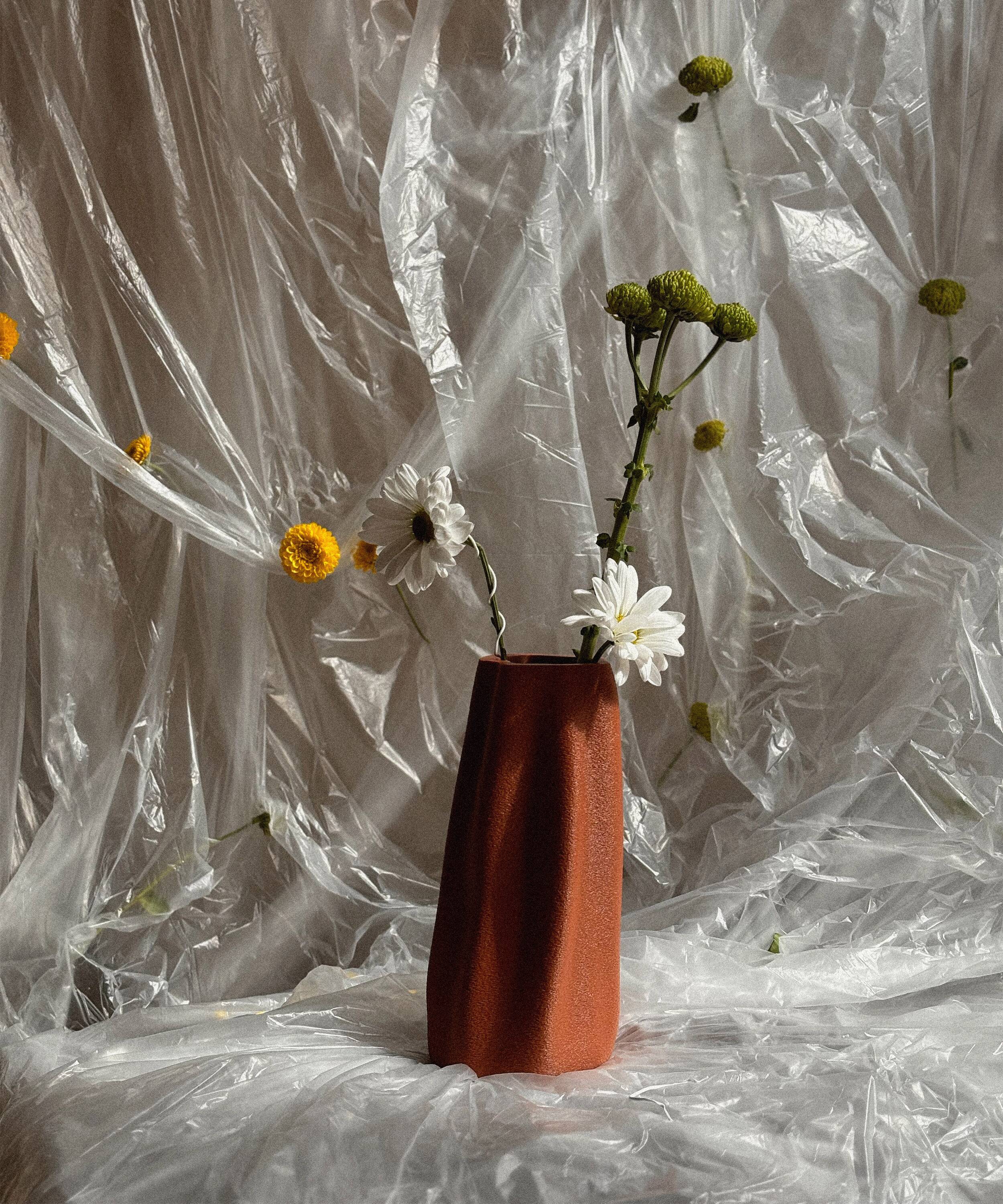 Grand vase biologique