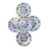 5 gien plates