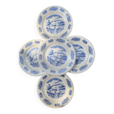 5 gien plates