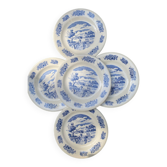 5 gien plates