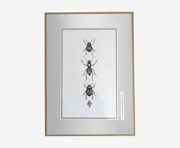 Illustration Insectes N°2, série limitée