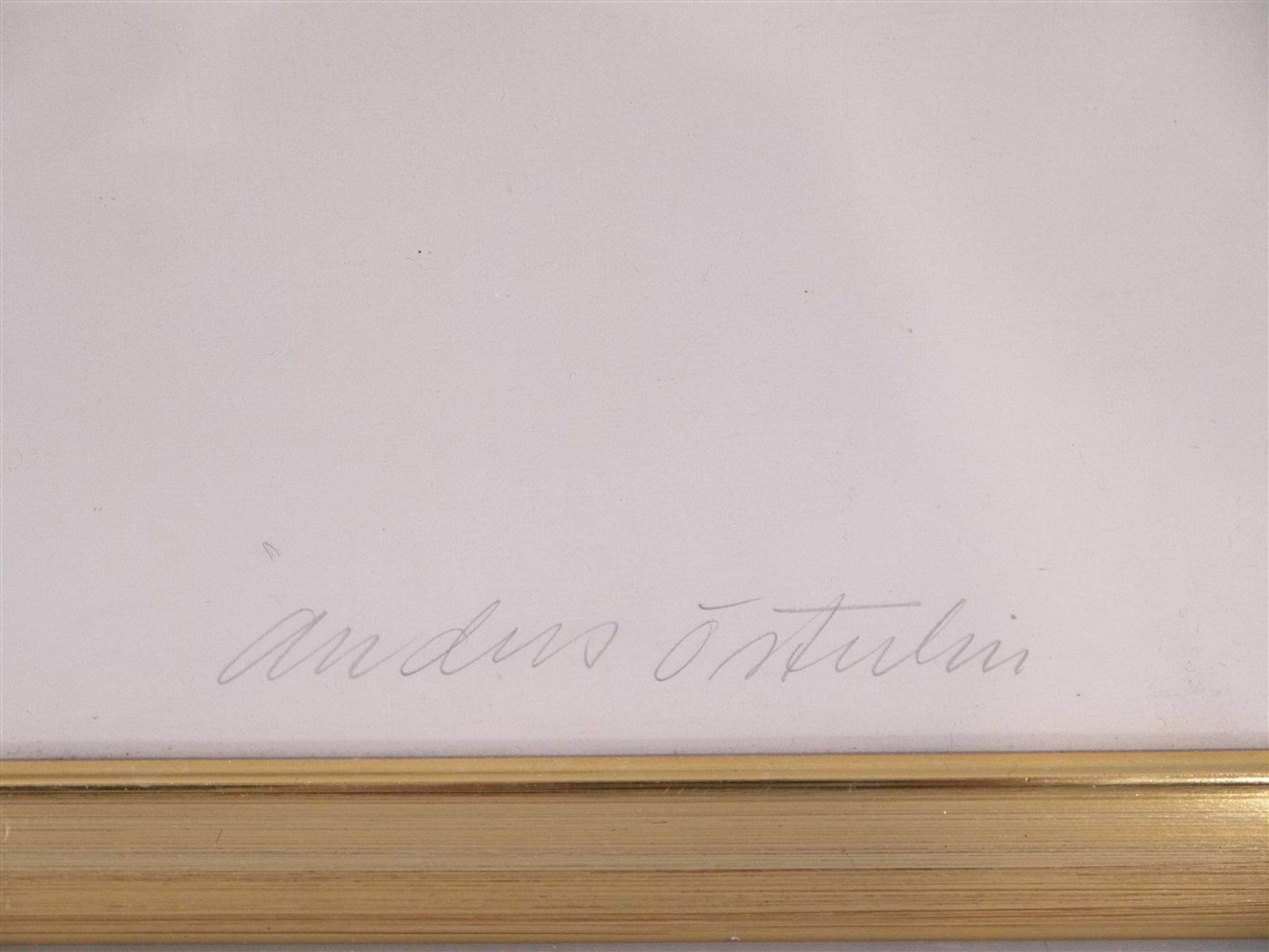 Serigraphie vintage de Anders Osterlin
