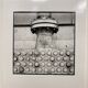 Photographie argentique d'artiste