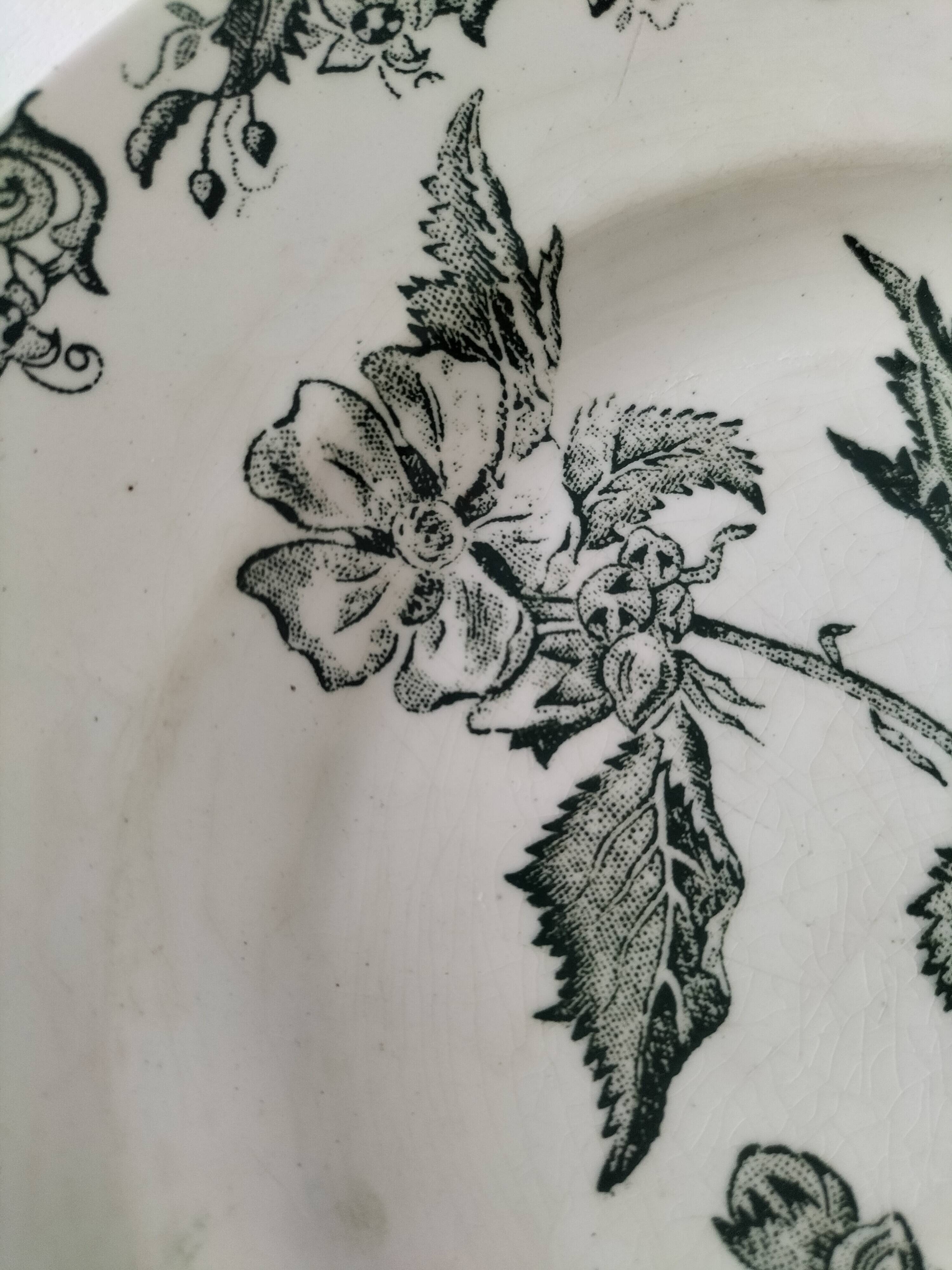 4 ironstone plates A. Lebacqz & M. Bouchart Richelieu model