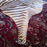 Real zebra skin rug