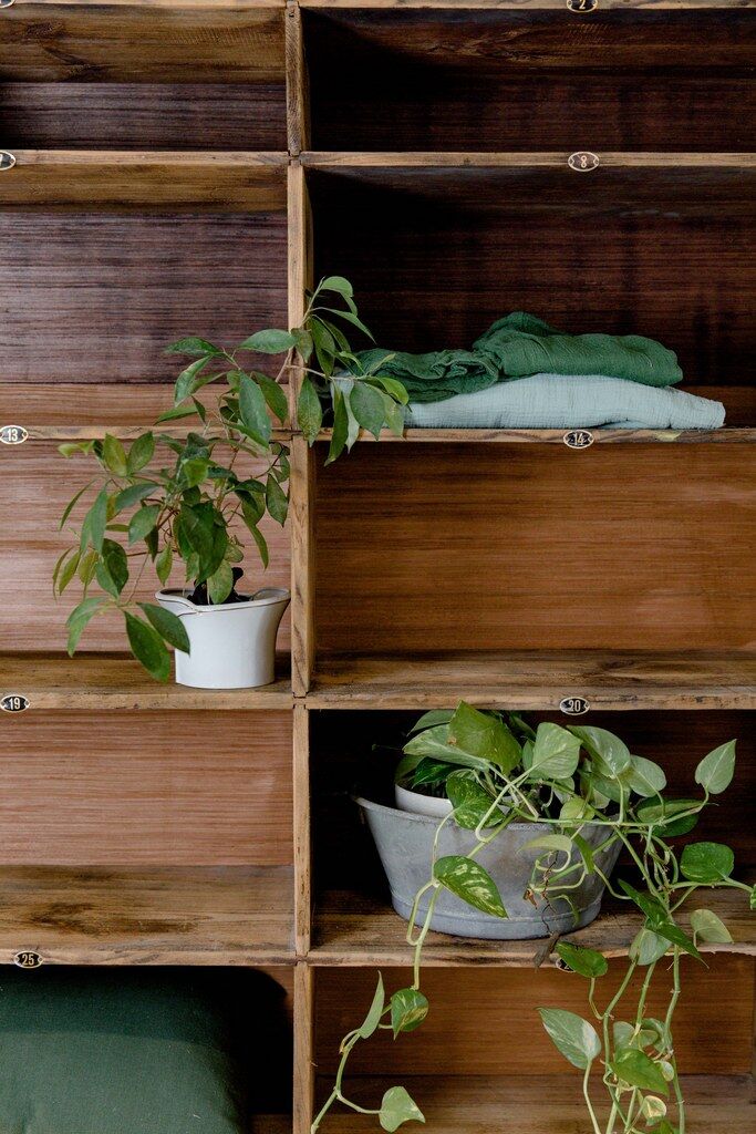 Factory locker cabinet, wood and green