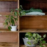 Factory locker cabinet, wood and green