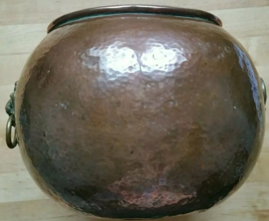 Copper lions head hide-and-seek