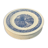 Set of 6 dessert plates