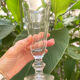 5 antique Caton-style champagne flutes in glass or crystal
