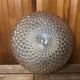 Old ceiling light gold molded glass wall lamp vintage metal support