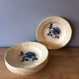 6 hollow plates in Earthenware Digoin Sarreguemines