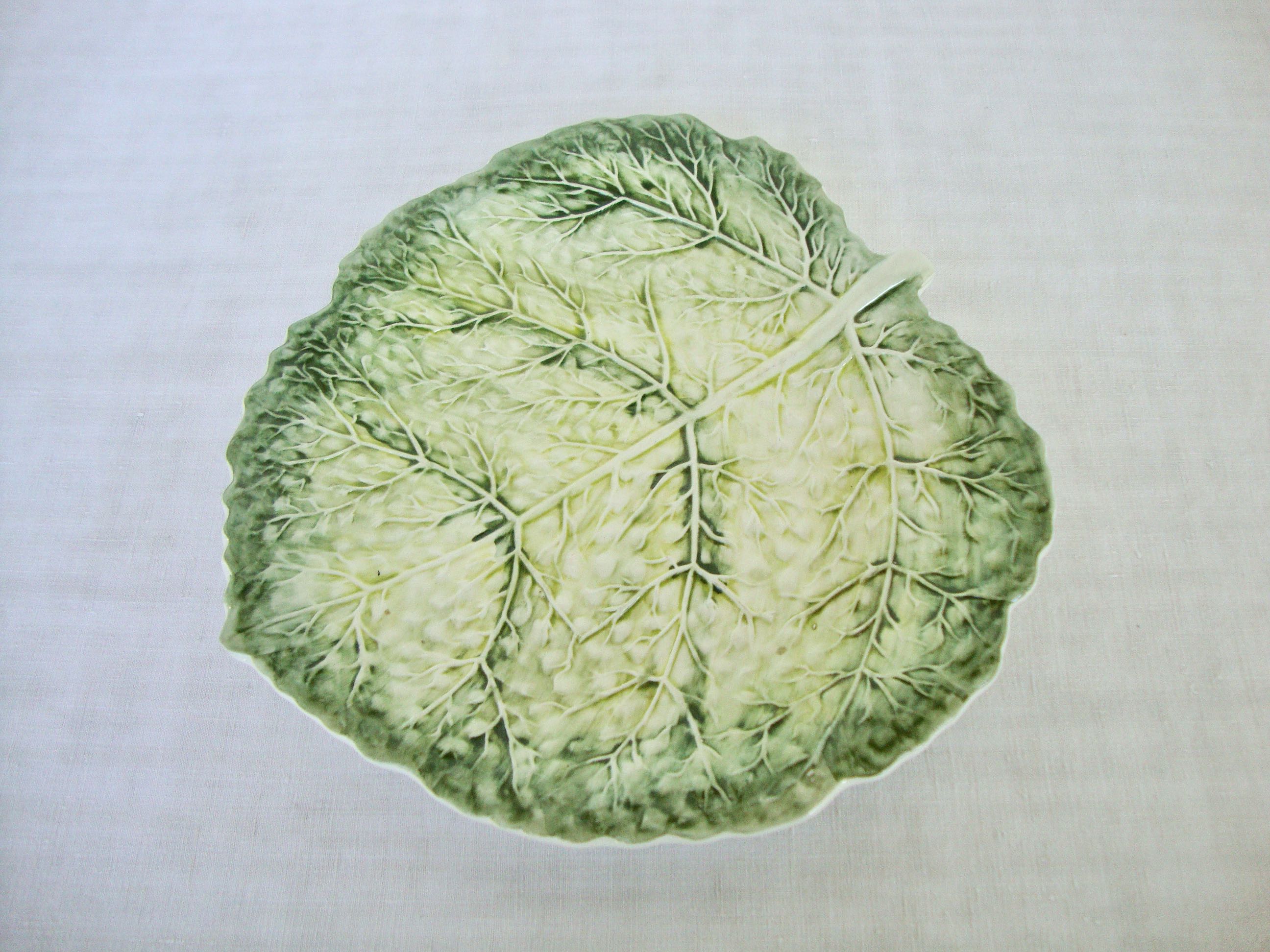 Flat cabbage leaf