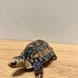 Tortoise