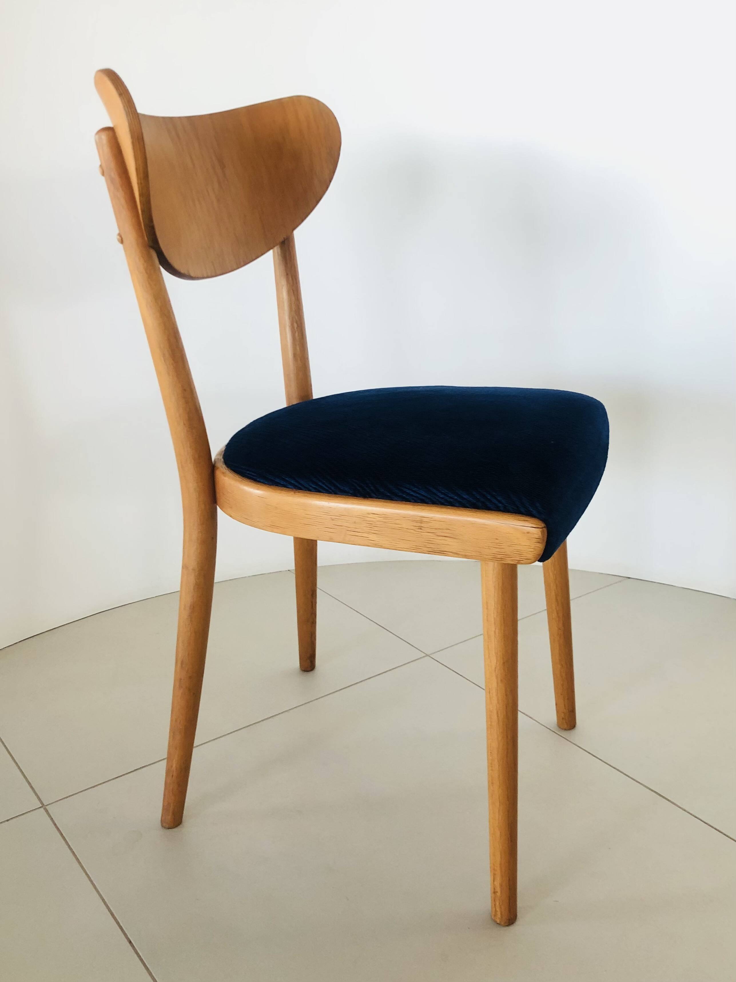 Chaises en bois de hêtre, Tchécoslovaquie années 50