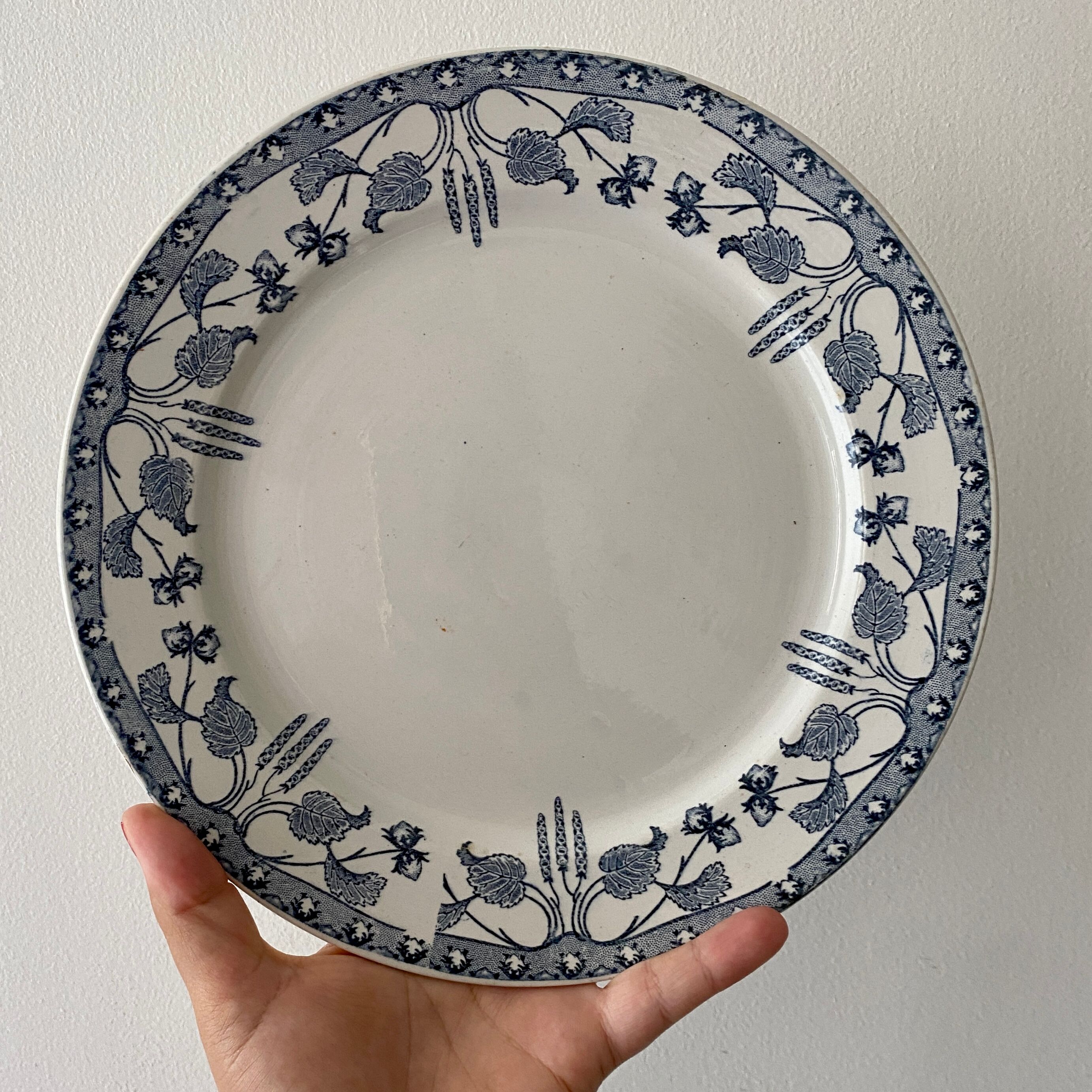 Set of 10 old flat plates in iron earth, model Noisette de Sarreguemines