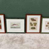 Set of 4 framed prints