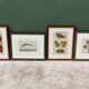 Set of 4 framed prints