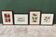 Lot de 4 gravures encadrées