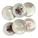 6 Mismatched Vintage Plates with Floral Pattern