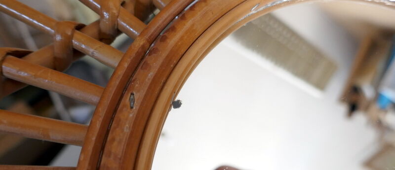Vintage rattan mirror guitar shape