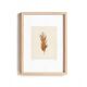 Painting on brown feather paper signed Eawy.