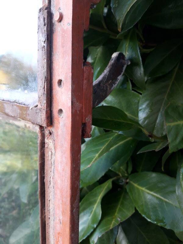 W84xH137.5 industrial curved metal glass frame window