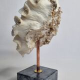 Old white coral "méandrine" on marble base, 25 cm