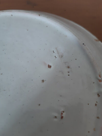 Pair of chatty earthenware plates 19th century