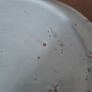 Pair of chatty earthenware plates 19th century