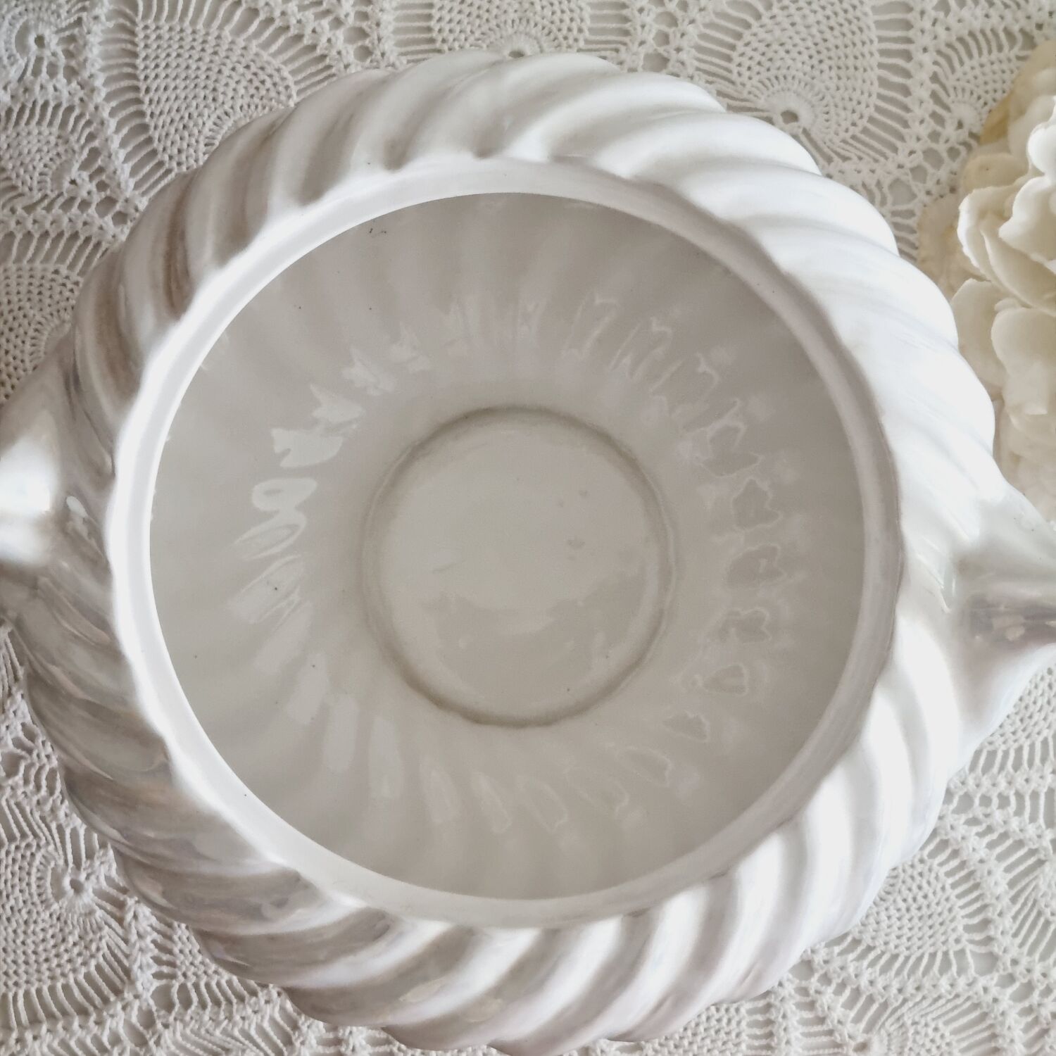 Shell tureen in slurry Portugal