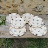 Flat plates Moulin des Loups
