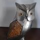 Owl duo
